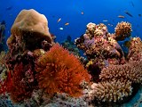 Safaga - podmořský ráj potápěčů