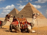 Egypt – oblíbené výlety z pobřeží