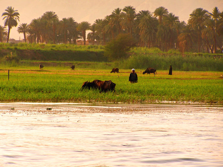 řeka NIl, Egypt